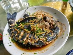 -生态苑农庄(十里画廊遇龙河店)