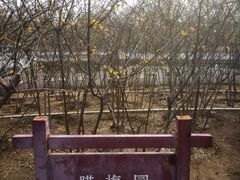 -丰台花园