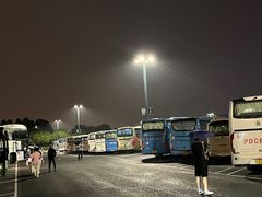-迪士尼乐园停车场