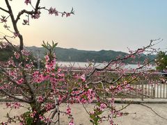 -河口景区