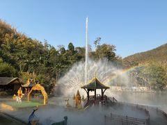 -西双版纳原始森林公园