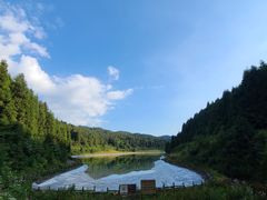 -武陵山森林公园