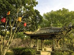 -无锡梅园公园