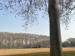 -河南省黄河迎宾馆