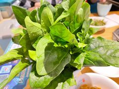 -青瓷火锅料理(西单大悦城店)