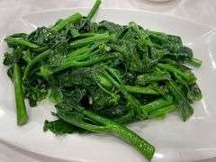 姜汁炒芥兰-朱仔记食府(江南大道店)