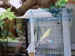 -时光花园(白鹭洲店)