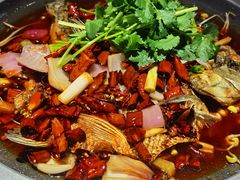 -新渝城·川菜·火锅(区庄店)