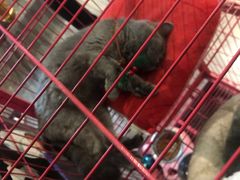 -第三空间·趣味桌游·轰趴.室内CS.剧本杀(大武汉1911店)