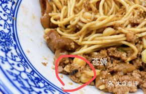 Stewed Intestine Noodles