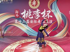 -舞霖精灵国际舞蹈教育中心(华创生活广场店)