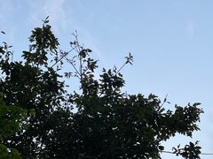 -粒上皇(扬名广场店)