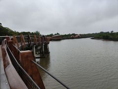 -东寨港红树林旅游区