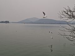 -无锡蠡湖国家湿地公园-蠡园