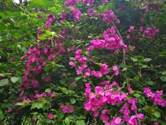 -人民公园(罗湖区)