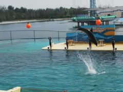 -秦皇岛乐岛海洋王国