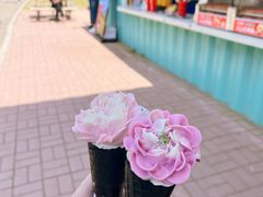 -沈阳植物园