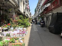 -苏州市皮市街花鸟工艺品市场