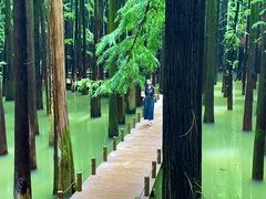 -青山湖景区