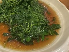 -牧羊餐厅