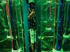 -七彩云南欢乐世界