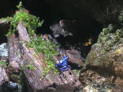 -新加坡海洋生态馆