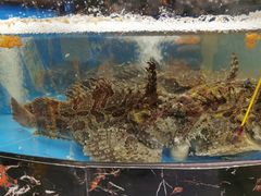 -丁字口海鲜热炒·烧烤大排档