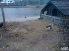 -同济大学(嘉定校区)