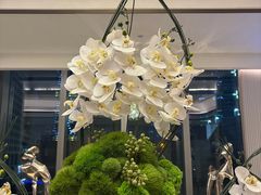 -花城苑广府菜(侨鑫店)