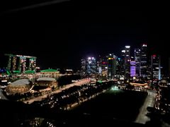 -新加坡瑞士史丹福酒店