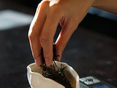 -大可堂普洱茶馆(襄阳南路馆)