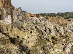 -彩色沙林风景区