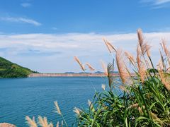 -长沙黑麋峰国家森林公园