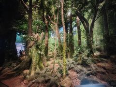 -浙江自然博物院(杭州馆)