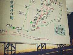 -王顺山国家森林公园