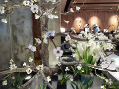 -盛江山自助料理(奥莱锦辉购物广场店)