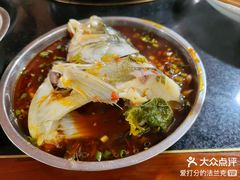-老杨砂锅鱼庄