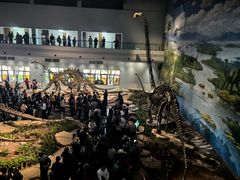 -自贡恐龙博物馆