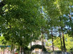 -J Create城市露营咖啡·简餐·宠物(上海动物园店)