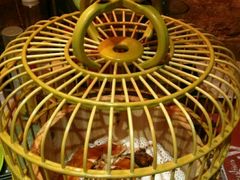 -胡桃里音乐酒馆(星湖北一里店)