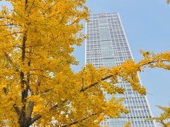 -心乐生活新鲜屋(星海广场店)