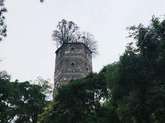 -江心屿景区
