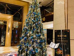 -西安赛瑞喜来登大酒店