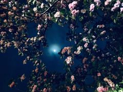 -苏州河梦清园环保主题公园