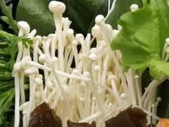 金针磨-呷哺呷哺(哈尔滨红博购物广场店)