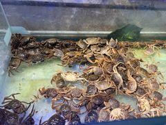 -悦橙烤肉海鲜自助(中央大街店)