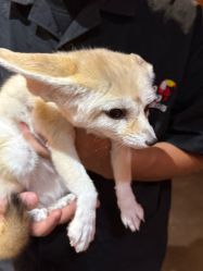 -Zoolung Zoolung动物主题公园(海信广场店)