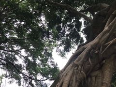 -鼓浪屿钢琴博物馆