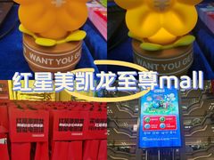 -红星美凯龙北京至尊MALL(东四环中路店)