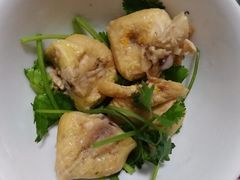 鸡尾-振鼎鸡(福州路店)
